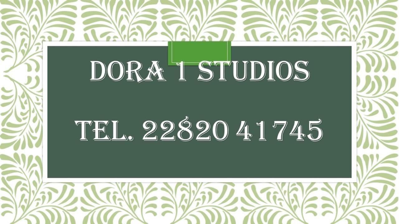 Villa Dora Studios Batsi  Ngoại thất bức ảnh